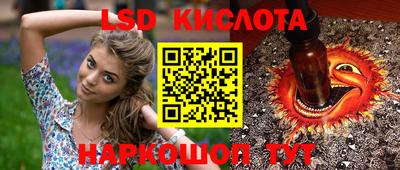 гидра Лесосибирск
